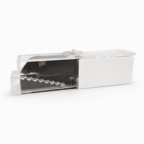 Staircase apparatus for mice fine motor coordination and forepaw testing